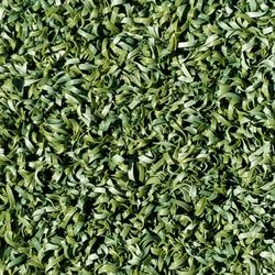 Cascade Greens