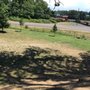 Photo of Clark County Dog Park