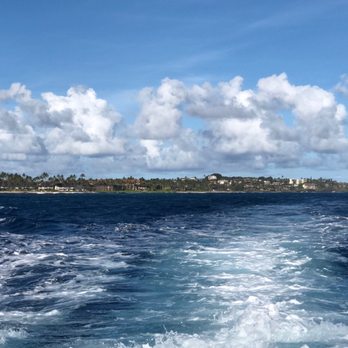 Seasport Divers - Scuba Diving Near Me - Koloa, Hawaii Seasport Divers - Scuba Diving Near Me - Koloa, Hawaii