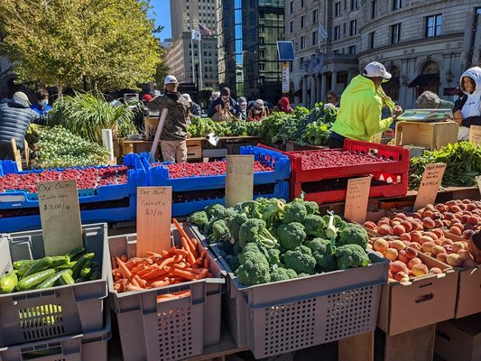 Copley Square Farmers Market by null