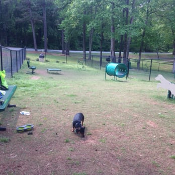 Clark Community Park - Dog Parks Near Me - Stockbridge, Georgia Clark Community Park - Dog Parks Near Me - Stockbridge, Georgia