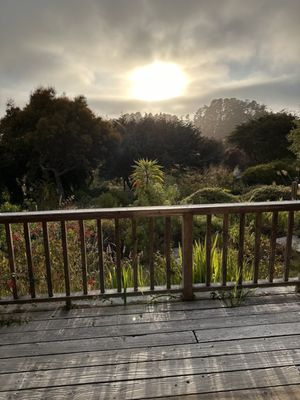 Stanford Inn & Resort on the Mendocino Coast by null