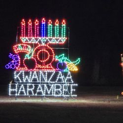 Wayne County Lightfest