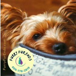 We've got great dog beds for all sizes of dogs. A good night's sleep is important. Come in and try them out. Also pads for cages as well.