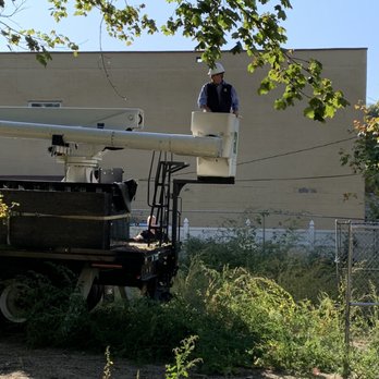 Almstead Tree Shrub & Lawn Care - Tree Services Near Me - Hawthorne, New York Almstead Tree Shrub & Lawn Care - Tree Services Near Me - Hawthorne, New York