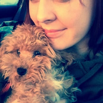 Sweet Misery Poodles - First road trip ! - Pet Stores Near Me