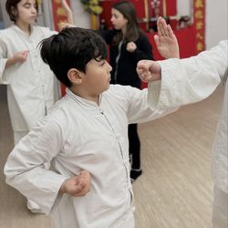 Shaolin Wing Chun Nam Anh Kung Fu