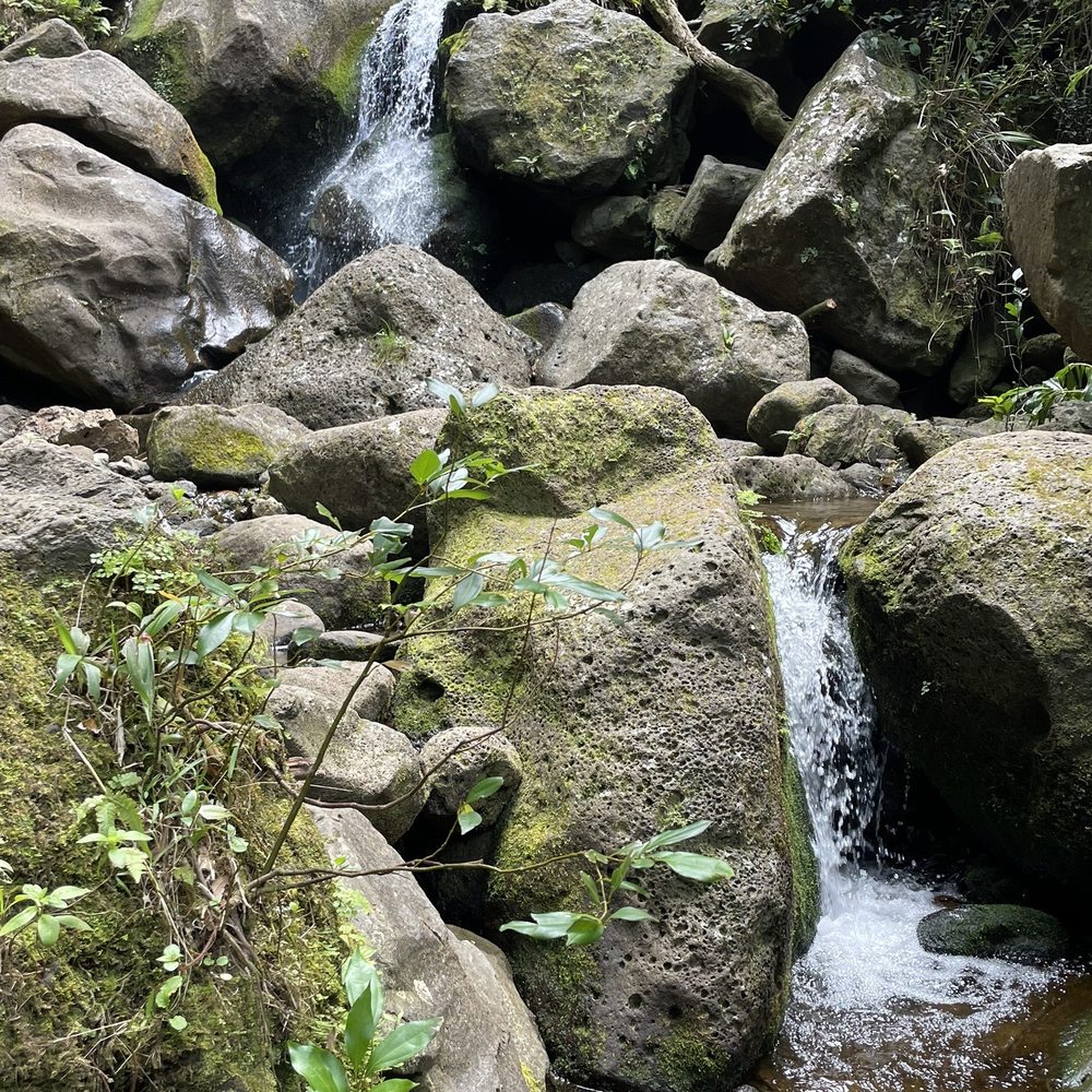 Lulumahu Falls - Small water feature just before the mail falls. go 30' more to the main falls. - Hiking Near Me - Honolulu, Hawaii Lulumahu Falls - Small water feature just before the mail falls. go 30' more to the main falls. - Hiking Near Me - Honolulu, Hawaii