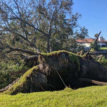 Ultimate Lawn Care & Tree Division - Hurricane Ian - 2022 - Tree Services Near Me Ultimate Lawn Care & Tree Division - Hurricane Ian - 2022 - Tree Services Near Me