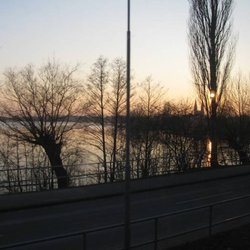 Ruppiner See - Sonnenuntergang am Ruppiner See im Februar 2018. Vom Zug aus.