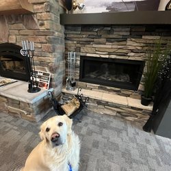 Fireplace Gallery - Our Showroom Dog Bo!