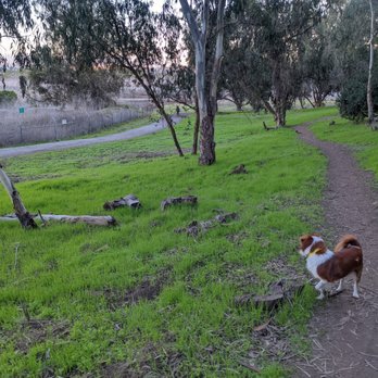 Gum Grove Nature Park - Hiking Near Me - Seal Beach, California