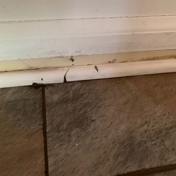 Metro Carpet & Floors - a crack in the floor - Carpet Installation Near Me - Troy, Michigan Metro Carpet & Floors - a crack in the floor - Carpet Installation Near Me - Troy, Michigan
