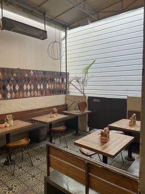 The Little Chihuahua by null