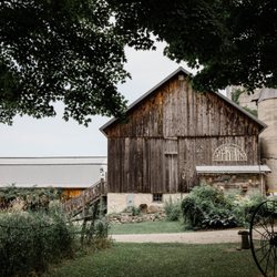 Woodwalk Gallery