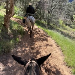 Canyon Trail Rides - Yes, there were only two of us following Wyatt