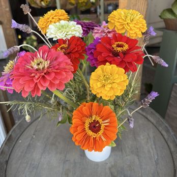 Mellano Farm Stand - Farmers Market Near Me - Oceanside, California Mellano Farm Stand - Farmers Market Near Me - Oceanside, California
