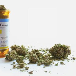 MMJ Canada