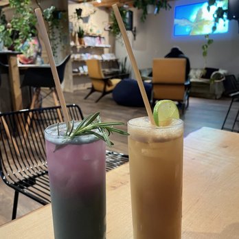 Wildcrafters - Next level and Kava Mule - Tea Rooms Near Me - Jacksonville, Florida