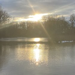 Wallworth Pond
