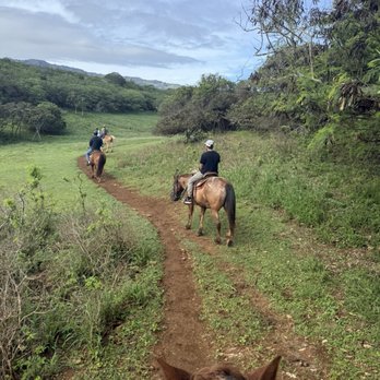 Gunstock Ranch - Horseback Riding Near Me - Laie, Hawaii Gunstock Ranch - Horseback Riding Near Me - Laie, Hawaii