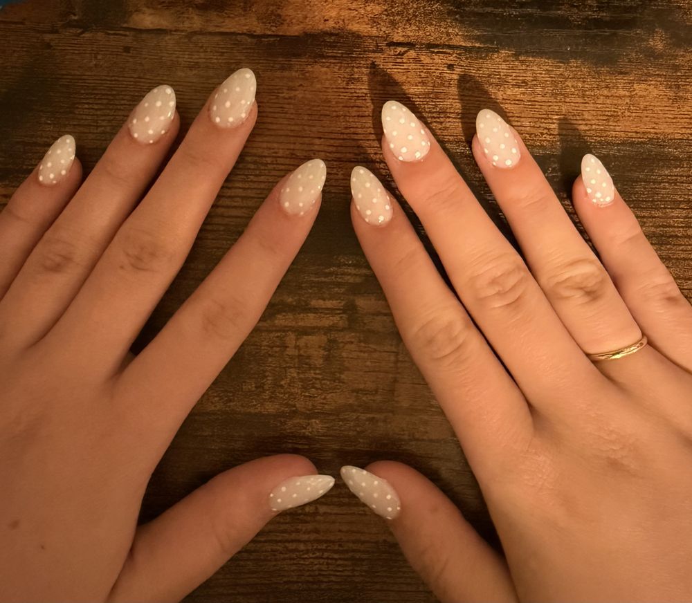 American Nail Logo