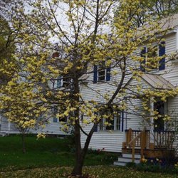 Reiki Healing Arts Vermont - Reiki treatments and classes are offered at my home studio.