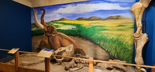 Museo Histórico Regional de Ensenada by null