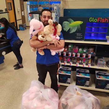 PetSmart - Team members getting those plushies ready for delivery to The Wish Project in Lowell. - Pet Stores Near Me - Woburn, Massachusetts