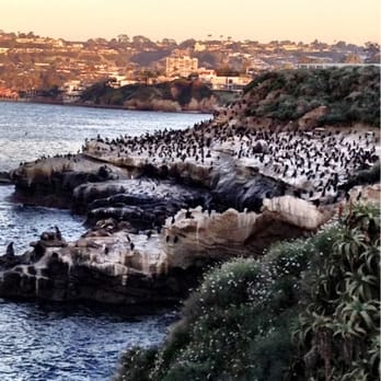 La Jolla Cove - Parks Near Me - La Jolla, California La Jolla Cove - Parks Near Me - La Jolla, California
