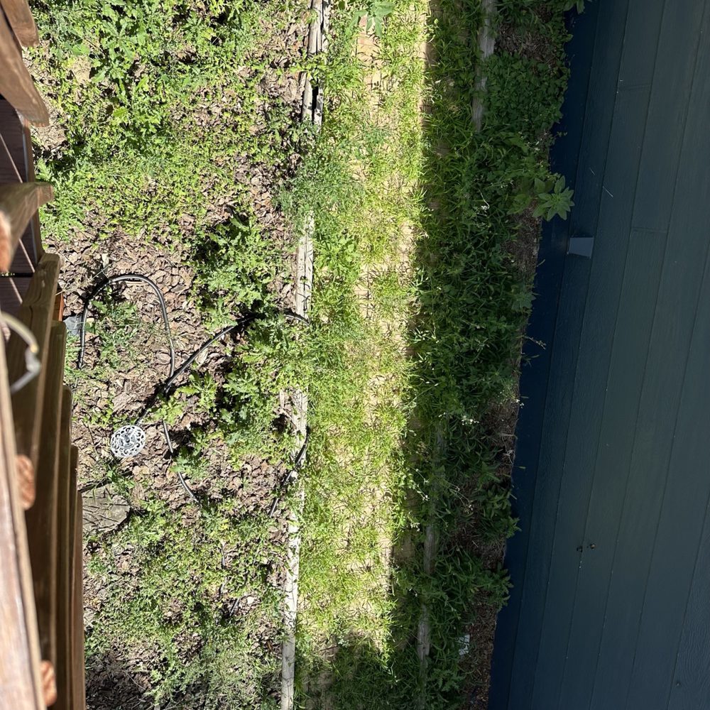 Leaves Landscaping - Before 2 - Landscaping Near Me Leaves Landscaping - Before 2 - Landscaping Near Me