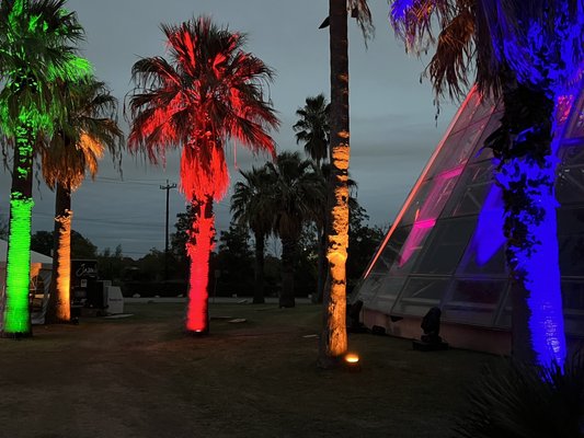 San Antonio Botanical Garden by null