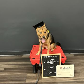 Sit Means Sit Dog Training - Graduation - Pet Training Near Me - Elkton, Maryland