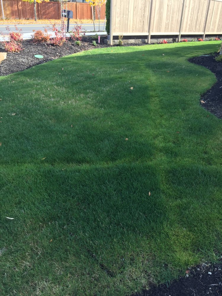 Slide of Sprinklers And Backflows