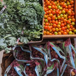 Roots Produce