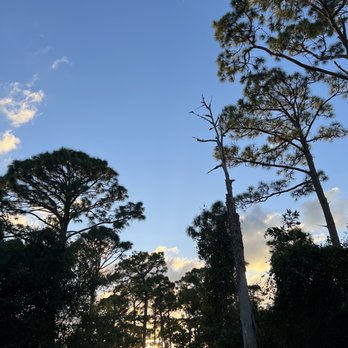 Kiplinger Nature Preserve - Parks Near Me - Stuart, Florida