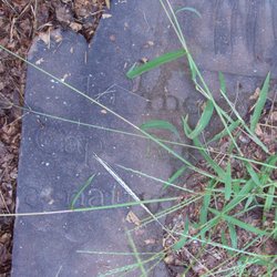 Ye Antientist Burial Ground - The word "Capt" can be made out-what a disgrace that this stone is uncared for!