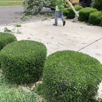 Tree Tech-Tree Service - Grinding up the trees - Tree Services Near Me - Fleming Island, Florida