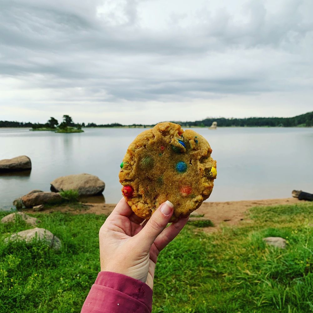 a hand holding a cookie a hand holding a cookie