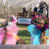 NEBRASKA RENAISSANCE FAIRE gift card