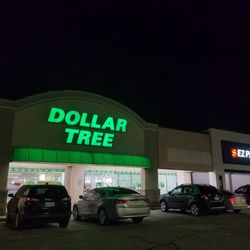 Trialed for tree son