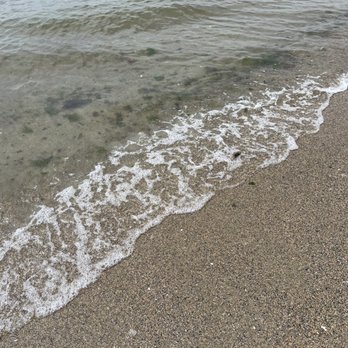 Oakland Beach - Seaweed - Beaches Near Me - Warwick, Rhode Island