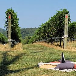 Linganore Winecellars - Jamming to tunes by DJ Genius near the vines - sweet 9.3.23