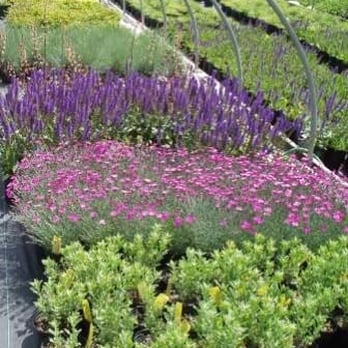 Wheatfield Nursery - Nurseries & Gardening Near Me - Centre Hall, Pennsylvania Wheatfield Nursery - Nurseries & Gardening Near Me - Centre Hall, Pennsylvania