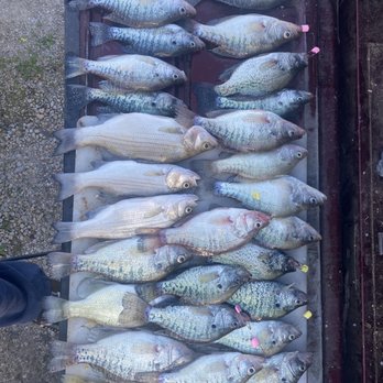 Reag's Guide Service - Fry time - Fishing Near Me