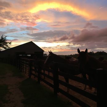 Big Red Stables - Horseback Riding Near Me - Harrodsburg, Kentucky