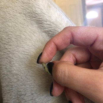 Lazio Nails - My manicure is literally peeling off - Nail Salons Near Me - Sugarcreek Township, Ohio