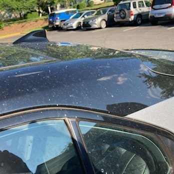 DMV Restorations - Damage Restoration Near Me - Manassas, Virginia DMV Restorations - Damage Restoration Near Me - Manassas, Virginia