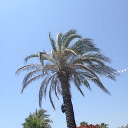 Maritim Pine Beach Resort