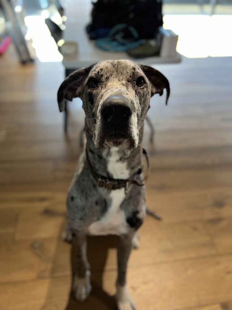 Slide of Reimagine Roofing